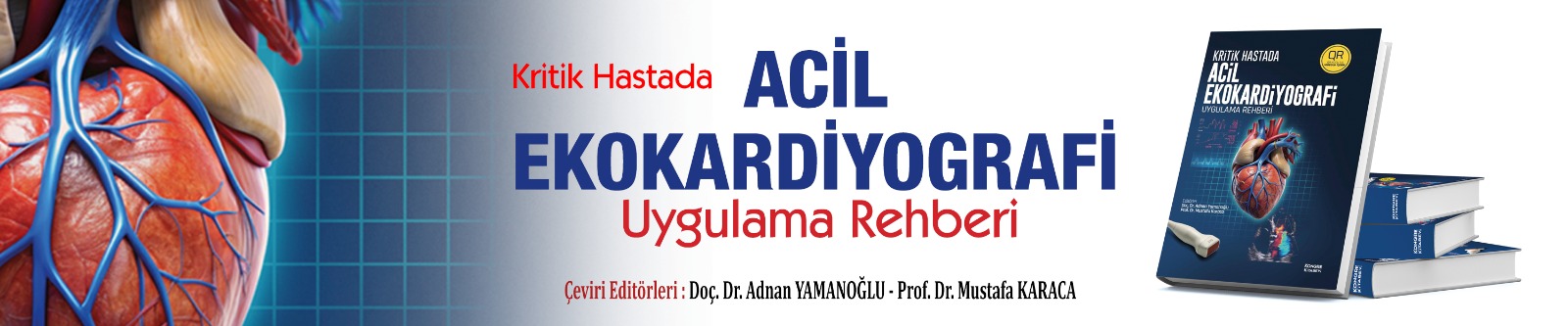 Kritik Hastada Acil Ekokardiyografi Uygulama Kitabı